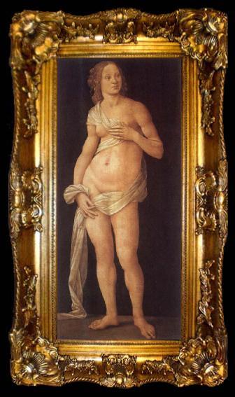 framed  LORENZO DI CREDI Venus, ta009-2